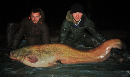 Waller 205cm